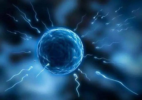 赴泰試管嬰兒面對子宮肌瘤成功好孕的3大方案剖析