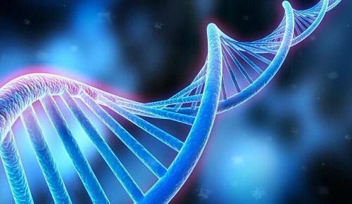 詳細(xì)分析福州第三代試管嬰兒醫(yī)院排名