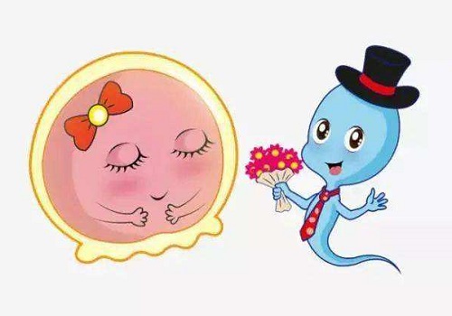 2022做試管嬰兒要多少費(fèi)用？