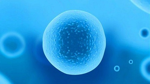 試管嬰兒比正常孩子智商低嗎？做好這四件事有利寶寶更聰明！
