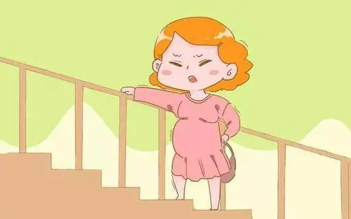 一個試管嬰兒療程的全部費用大概多少？