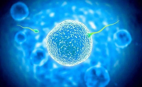 赴泰試管嬰兒面對子宮肌瘤成功好孕的3大方案剖析