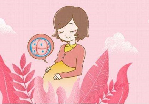 試管費用的明細是什么