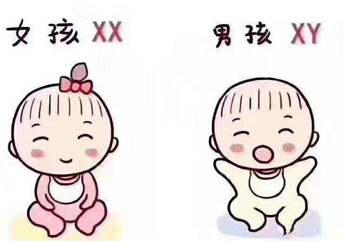 做泰國試管嬰兒生or價(jià)格一樣嗎