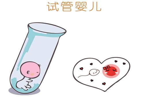 做一個(gè)試管嬰兒多少錢
